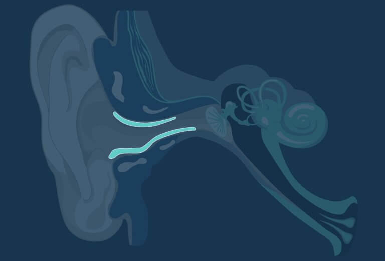 inner-ear-diagram