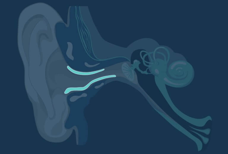 Ear canal diagram.