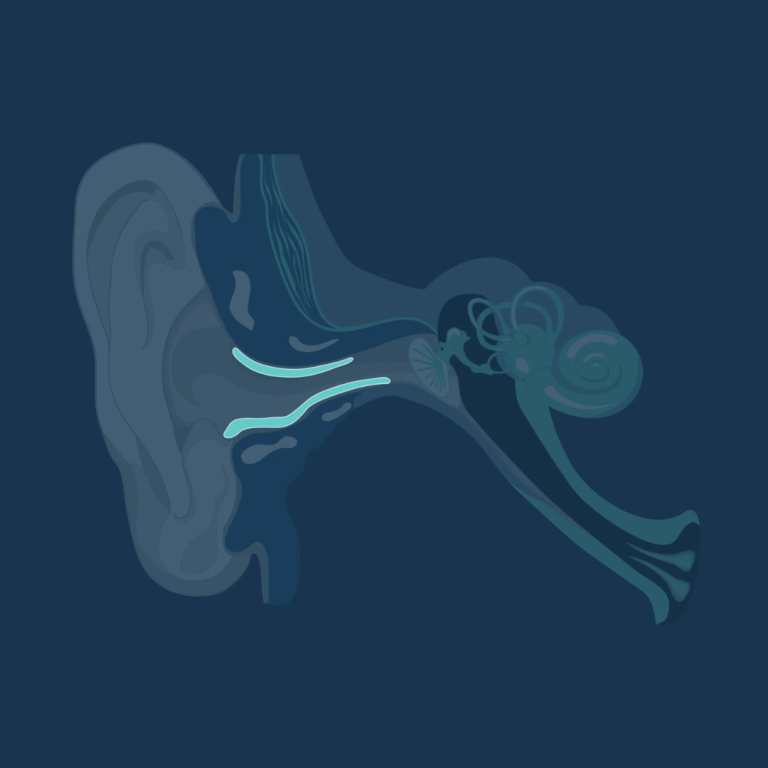 ear-canal-diagram