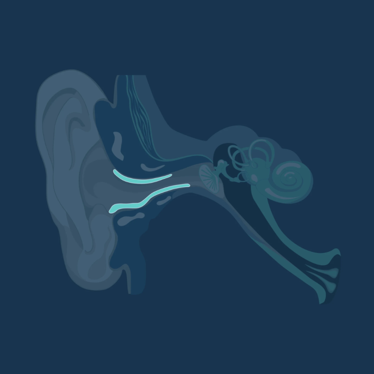 Ear canal diagram.