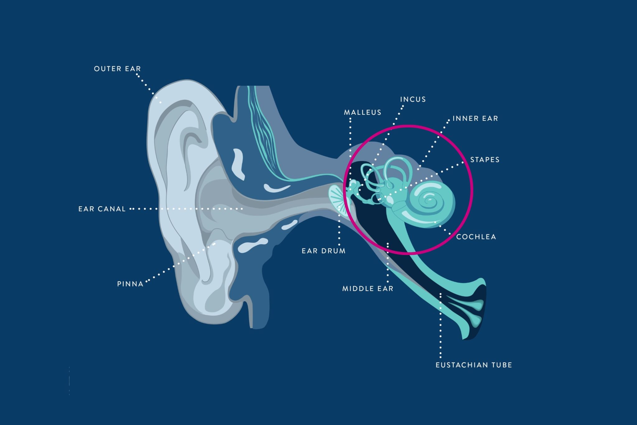 Sensorineural Hearing Loss | Signs, Causes & Treatment | THCP